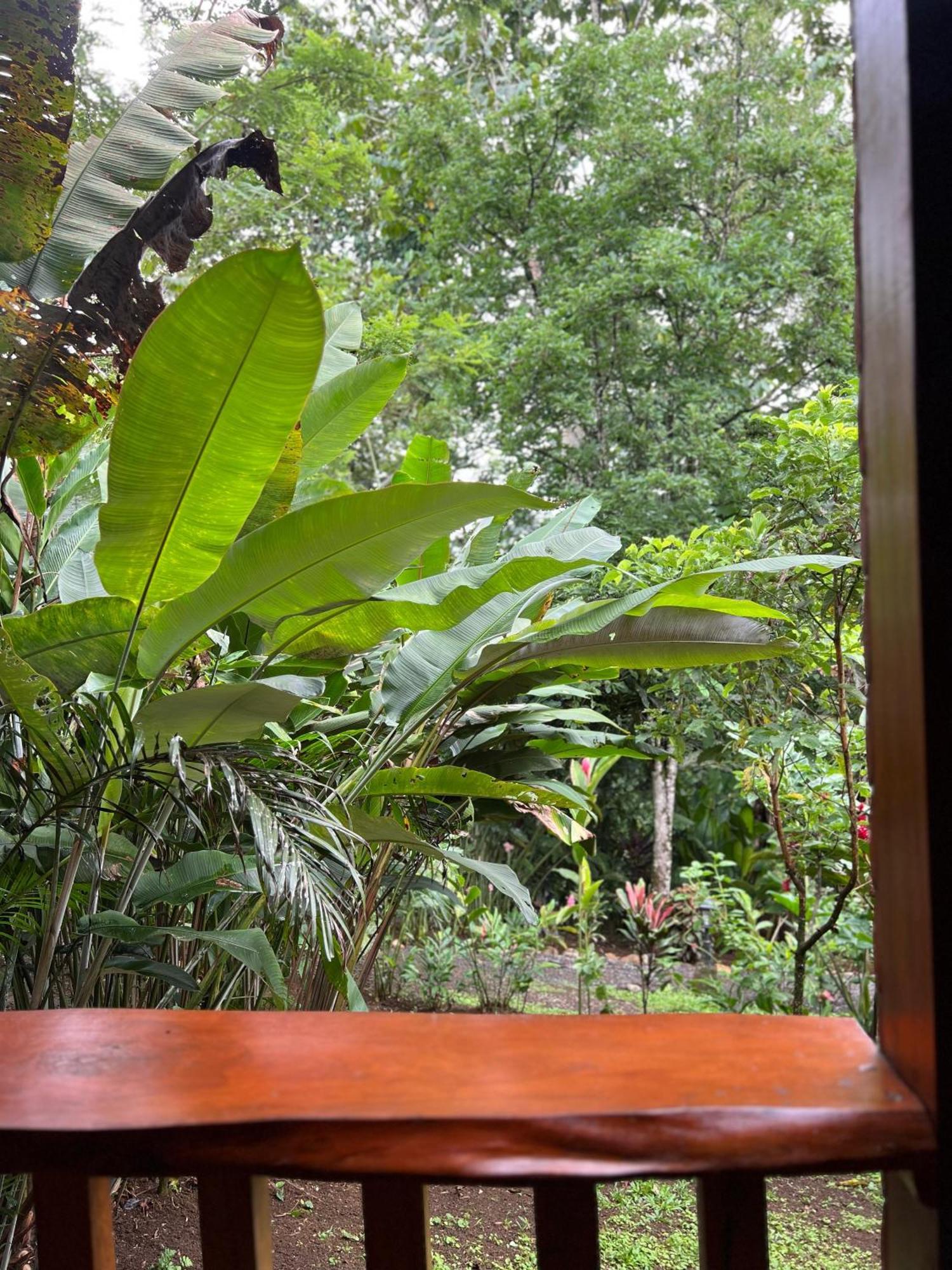 Arenal Rustic Lodge La Fortuna Eksteriør bilde