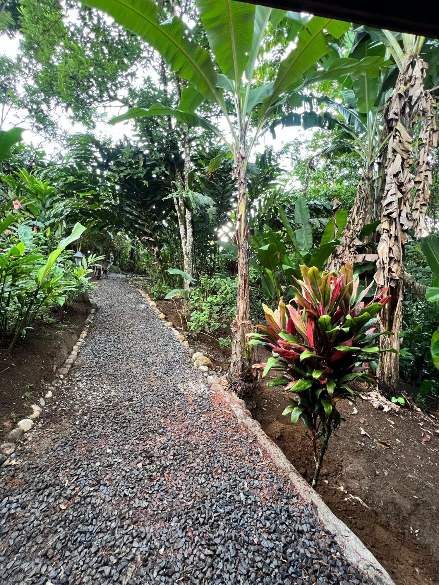Arenal Rustic Lodge La Fortuna Eksteriør bilde